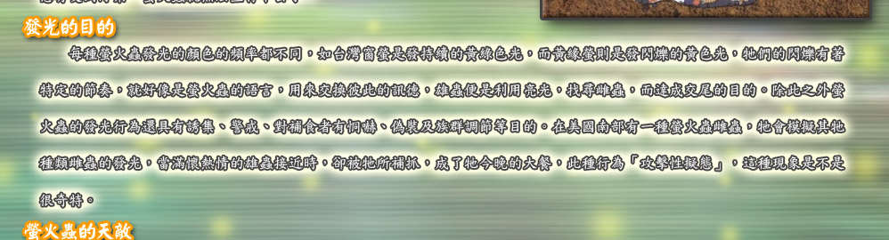 發光的目的每種螢火蟲發光的顏色的頻率都不同，如台灣窗螢是發持續的黃綠色光，而黃緣螢則是發閃爍的黃色光，牠們的閃爍有著
特定的節奏，就好像是螢火蟲的語言，用來交換彼此的訊德，雄蟲便是利用亮光，找尋雌蟲，而達成交尾的目的。除此之外螢
火蟲的發光行為還具有誘集、警戒、對補食者有恫嚇、偽裝及族群調節等目的。在美國南部有一種螢火蟲雌蟲，牠會模擬其牠
種類雌蟲的發光，當滿懷熱情的雄蟲接近時，卻被牠所補抓，成了牠今晚的大餐，此種行為「攻擊性擬態」，這種現象是不是
很奇特。