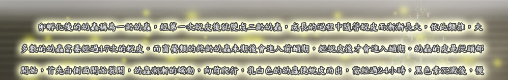 卵孵化後的幼蟲稱為一齡幼蟲，經第一次蛻皮後就變成二齡幼蟲，成長的過程中隨著蛻皮而漸漸長大，依此類推，大
多數的幼蟲需要經過4-7次的蛻皮。而窗螢類的終齡幼蟲未期後會進入前蛹期，經蛻皮後才會進入蛹期。幼蟲的皮是從頭部
開始，首先由側面開始裂開，幼蟲漸漸的蠕動，向前爬行，乳白色的幼蟲便蛻皮而出，需經過2-4小時，黑色素沉澱後，慢
慢的變為黑色。